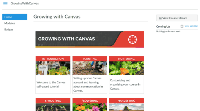 Growing with Canvas Gif
