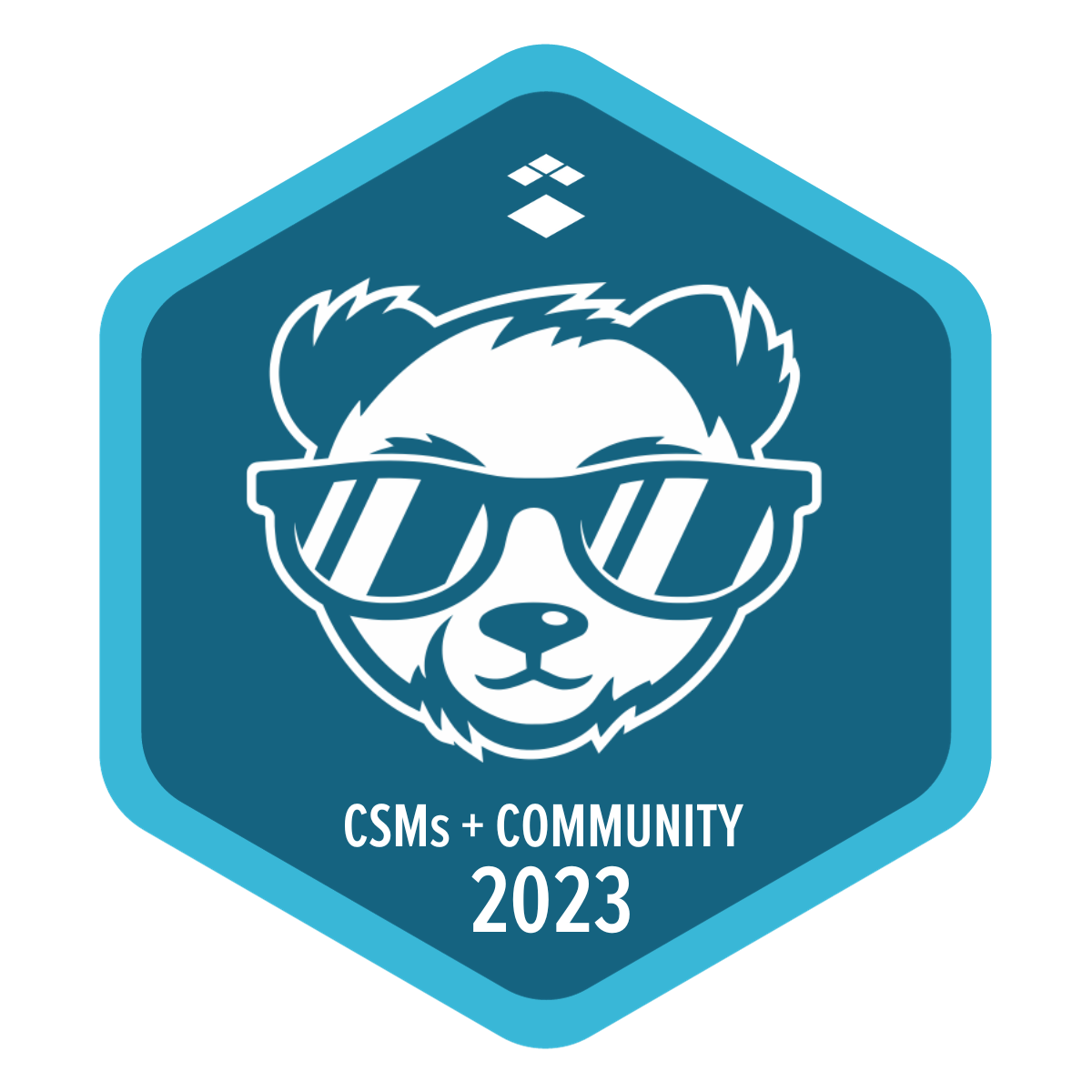CSM Community Champ 2023