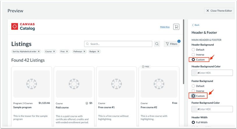 View Theme Editor Custom Header and Footer Colors