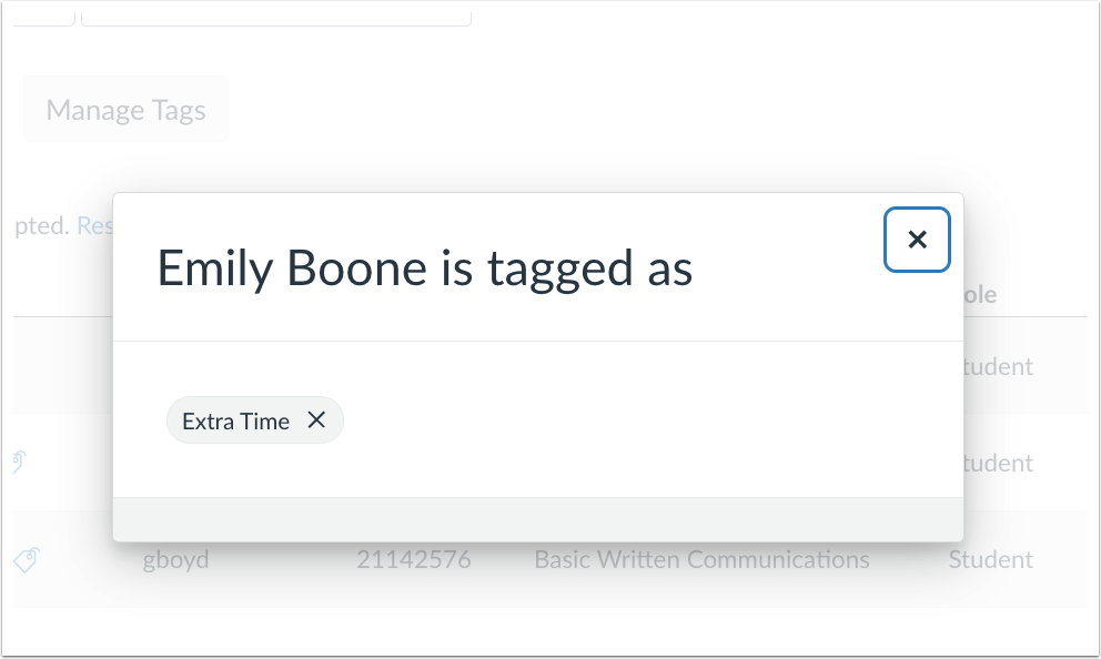 User Details Tag Modal