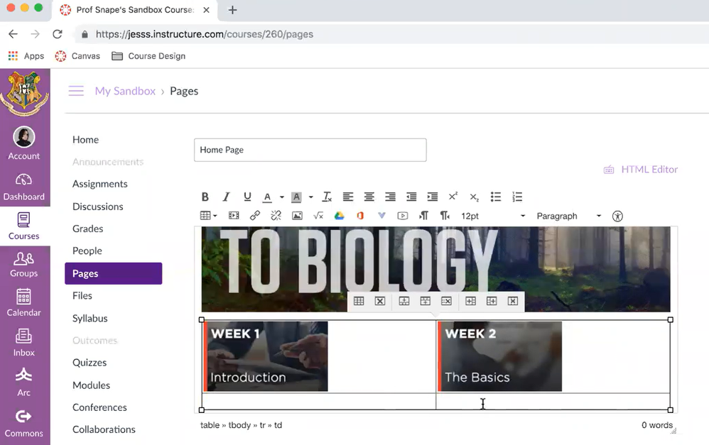 Canvas Training - homepage using tables.png