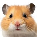 Brave_Hamster