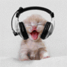 Animated Cat Listning To Music.gif