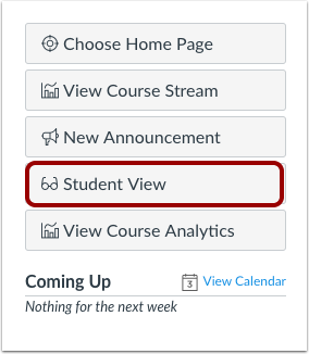 The Student View button can be accessed from the Course Home Page