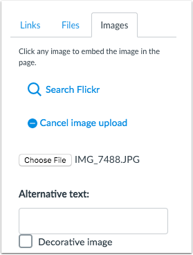 The Content Sidebar in the Rich Content Editor supports adding alternative text after selecting an image file for upload or marking the image as decorative