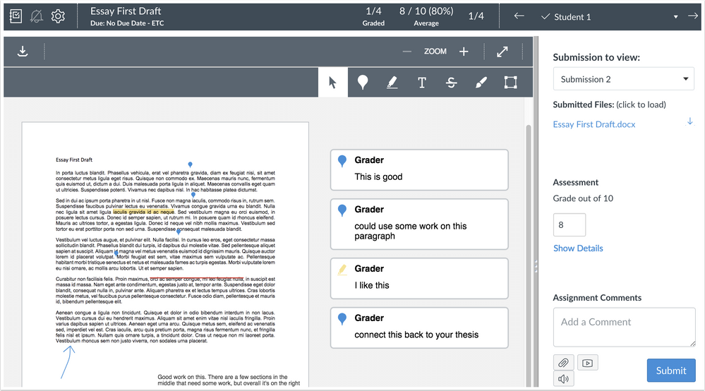 Instructor view of anonymous comments in DocViewer with anonymous grading enabled