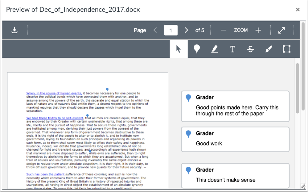 Student view of anonymous comments in DocViewer with anonymous grading enabled