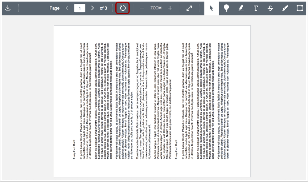 DocViewer image rotation button DocViewer image rotation button