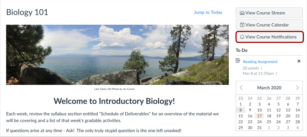 Course Notifications Home Page Button Course Notifications Home Page Button