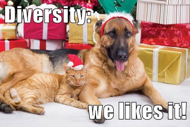 diversity dog