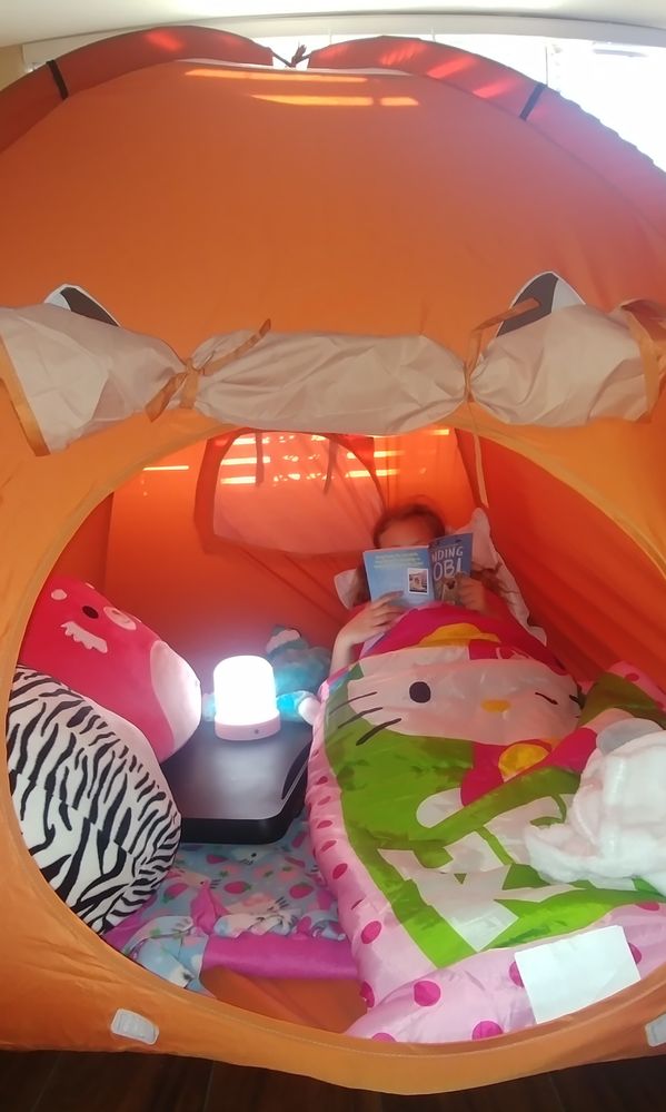 341639_20200316_082558 (1).jpg 341639_20200316_082558 (1).jpg