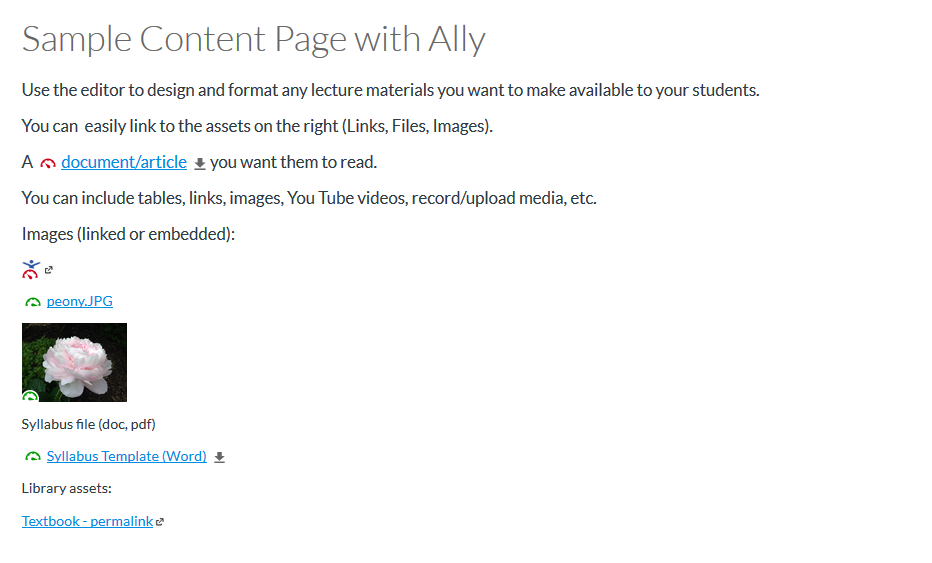 Example of a Canvas Content Page with the Blackboard Ally scoring associated with the files linked in the page.