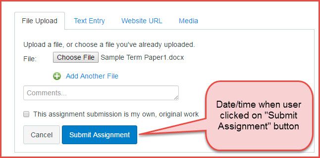 submit assignment button.jpg