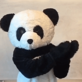 Panda clapping