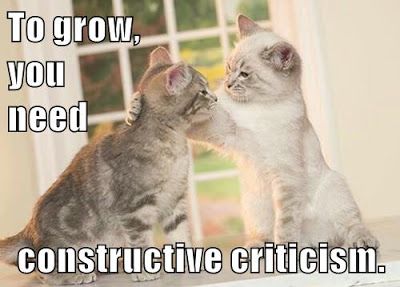 To grow, you need constructive criticism. One cat helps another.