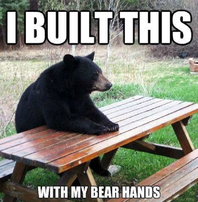 Bear Hands