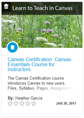 Canvas Certification course in commons