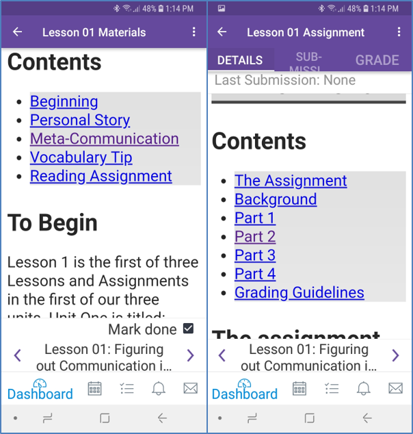 Android Canvas Student App showing tabs in page and assignment.