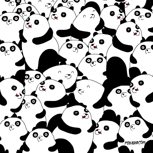 Animated group of cute pandas from giphy.com showing a sense of community and fun