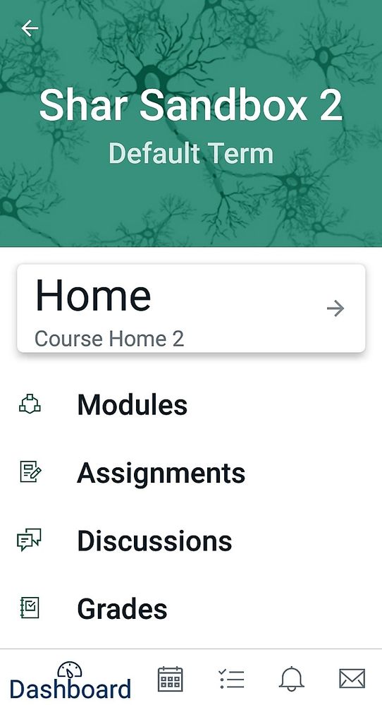 Canvas Student app initial view