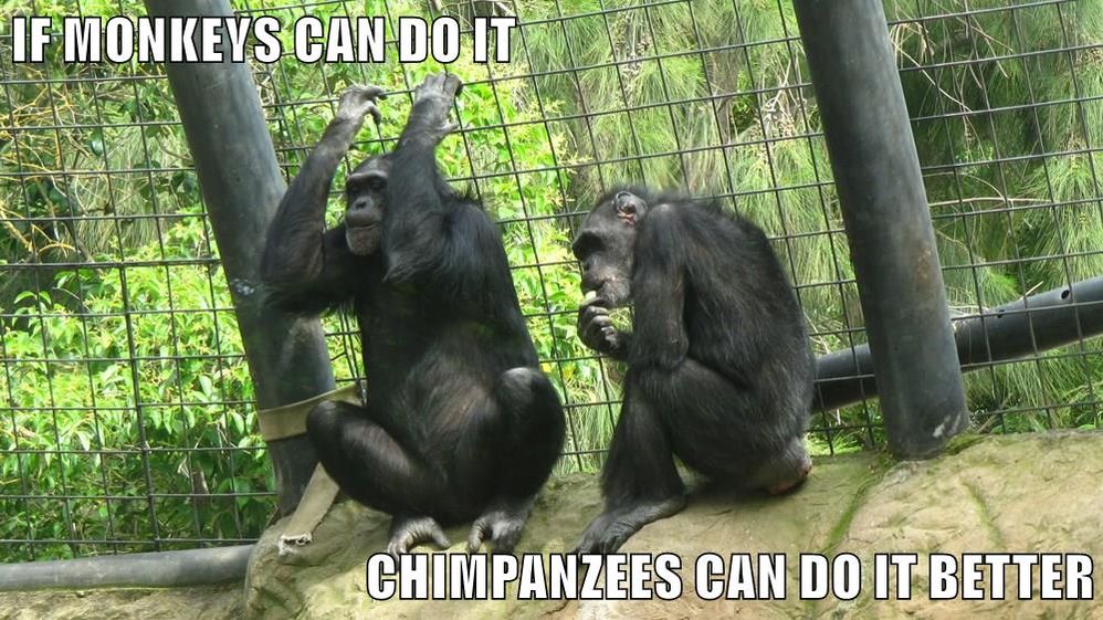 If monkeys can do it, chimpanzees can do it better