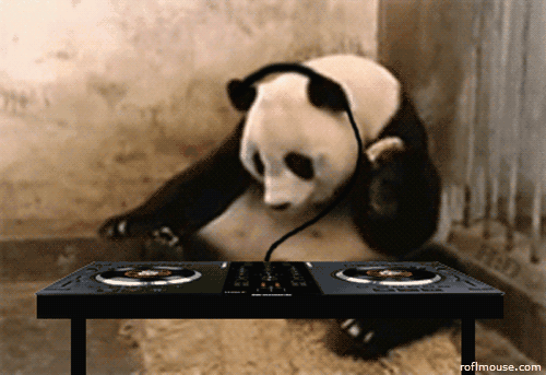 dj_panda.jpg
