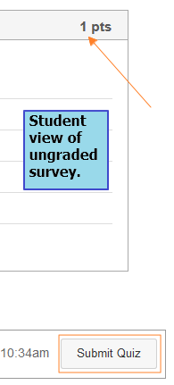 student_view_ungraded_survey.png
