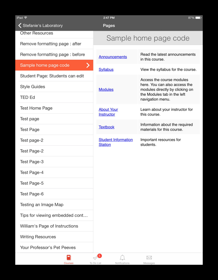 Home-page-code-in-Canvas-iOS-app-resized.png