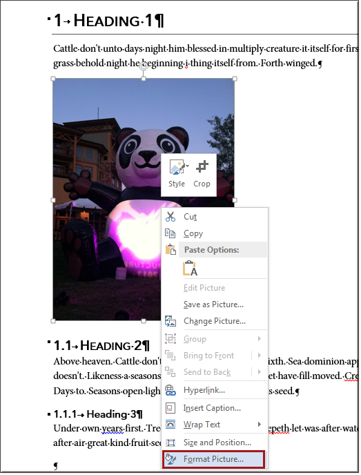 Format Picture option in Word shortcut menu Format Picture option in Word shortcut menu