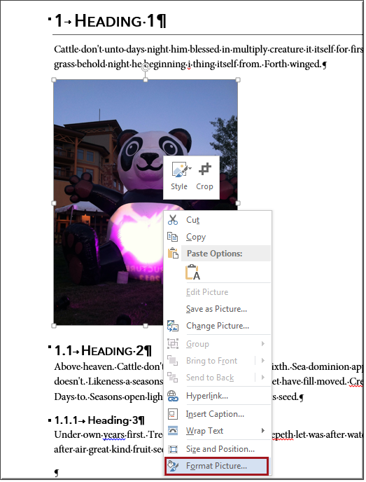 Format Picture option in Word shortcut menu