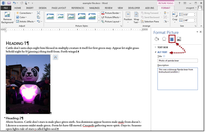 Format Picture Panel in Word
