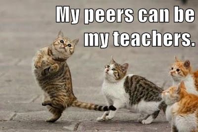 my peers can be my teachers cat