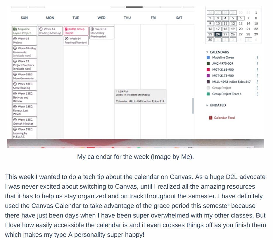 student blog post screenshot