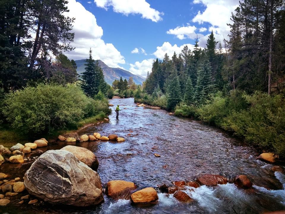 stream.jpg stream.jpg