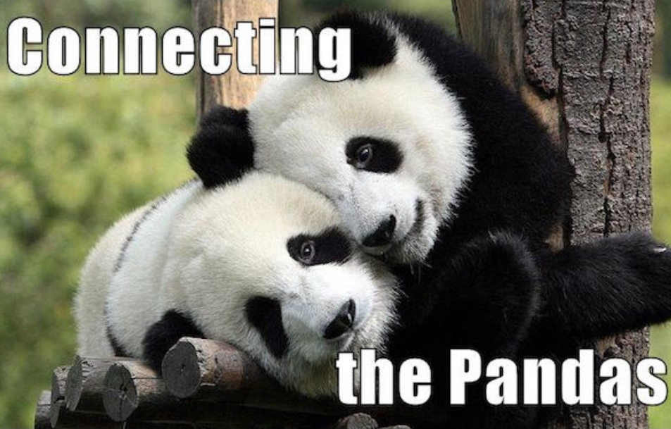 two pandas_ connecting the pandas