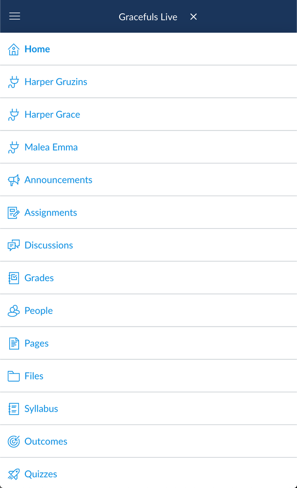 Course Navigation Menu