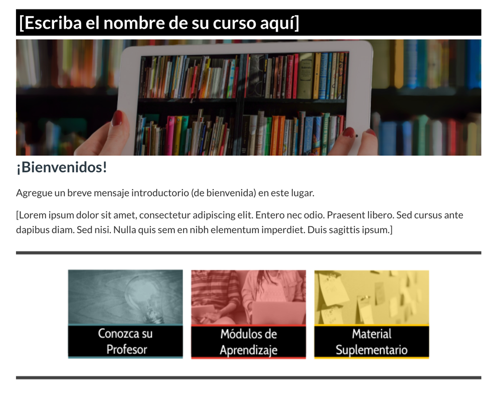 Plantilla de Curso Plantilla de Curso