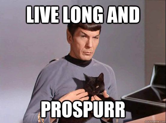 Spock and Cat; Live long and prospurr