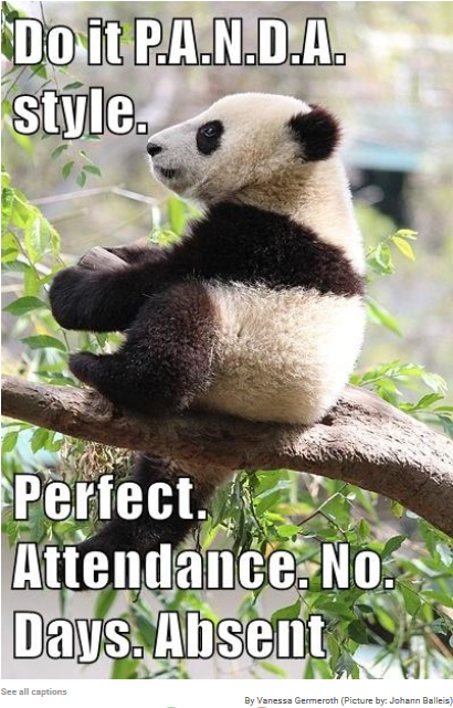 PANDA for perfect attendance