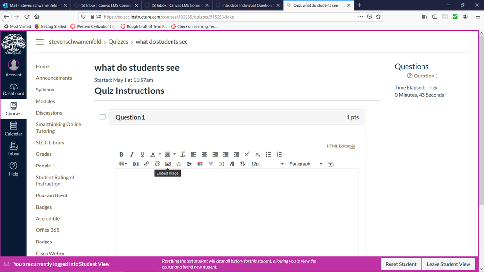a screen capture of what students see as response options for essay questions