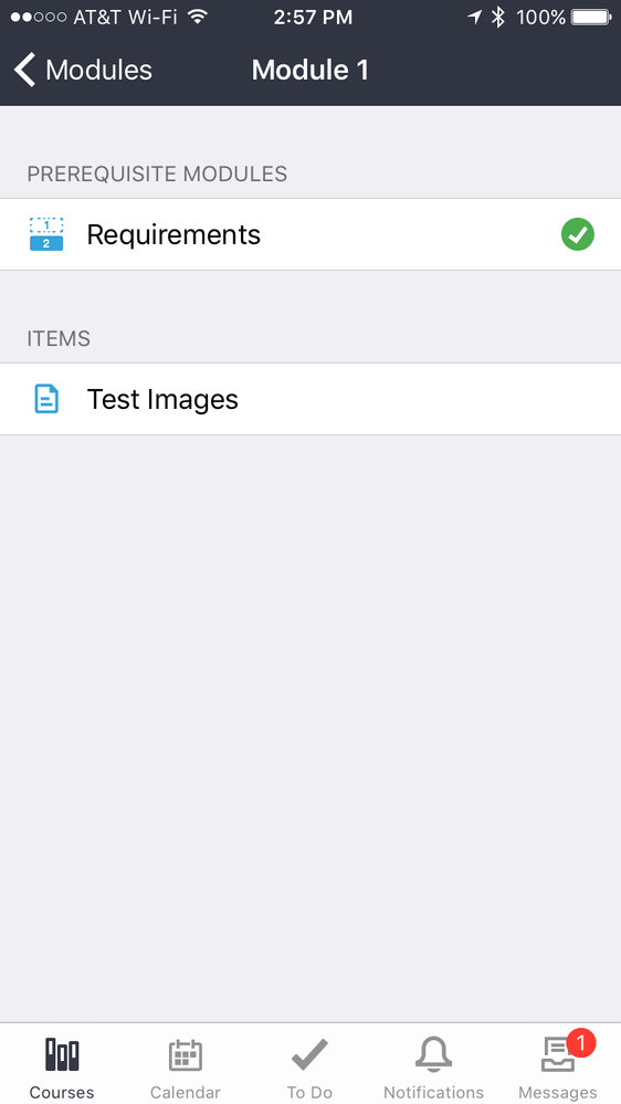 250815_IMG_3668.PNG
