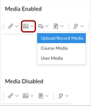 Comparison between the Canvas Media button enabled and disabled