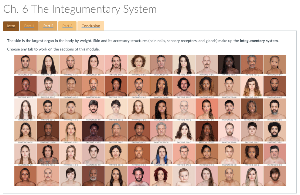 Integumentary System Module screenshot