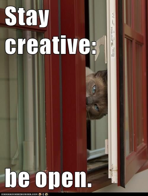 cat peeking through door