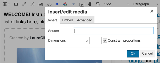 screenshot of embed dialogue box screenshot of embed dialogue box