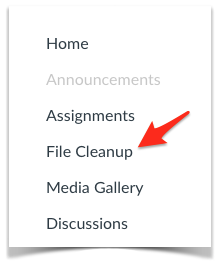 File Cleanup link in course navigation. 
