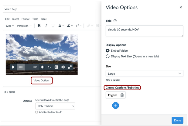 Caption File Management in Video Options