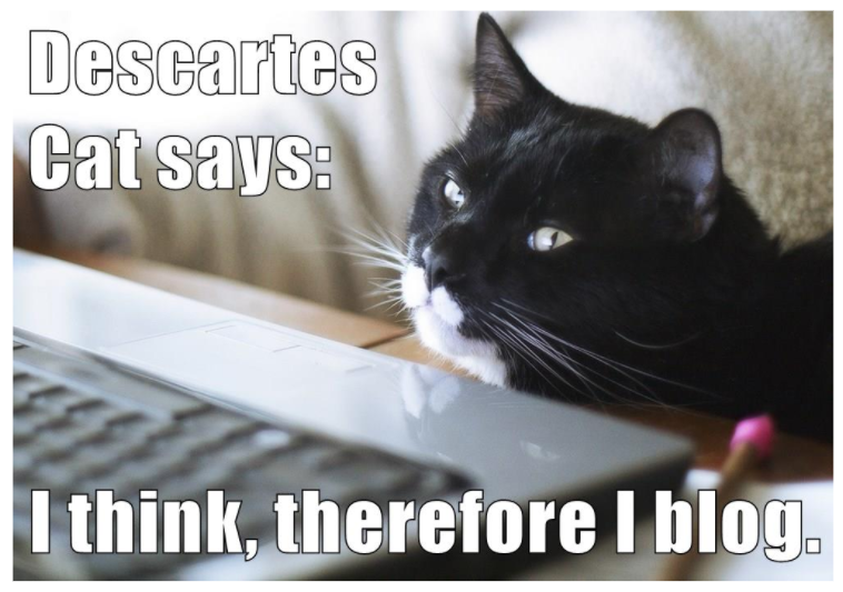 cat leaning on computer keyboard cat leaning on computer keyboard