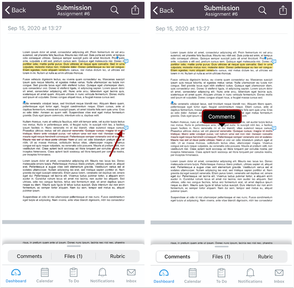 Comments in Annotations