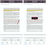 Comments in Annotations